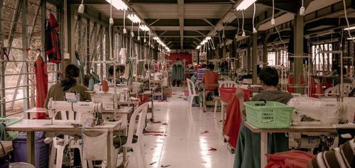 銷售新紀(jì)元 瓴羊如何破局“數(shù)據(jù)孤島”與“系統(tǒng)林立”之困