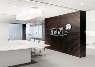 藍(lán)蓮花LOGO設(shè)計(jì) 意蘊(yùn)深遠(yuǎn)，綻放品牌靈魂